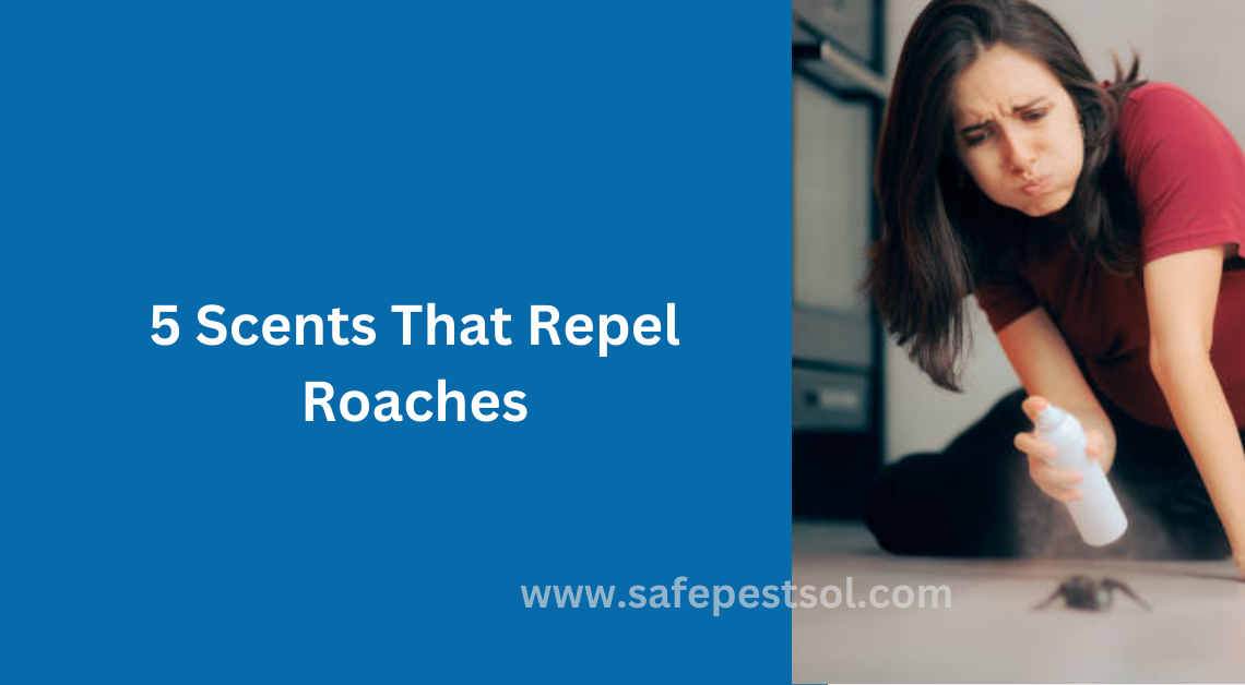 Repel Roaches