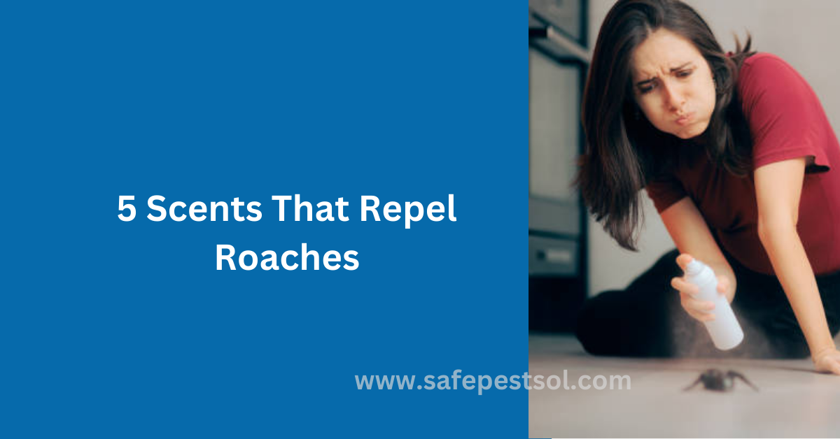 Repel Roaches