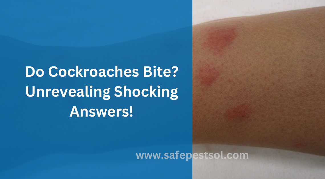 Do Cockroaches Bite Unrevealing Shocking Answers!