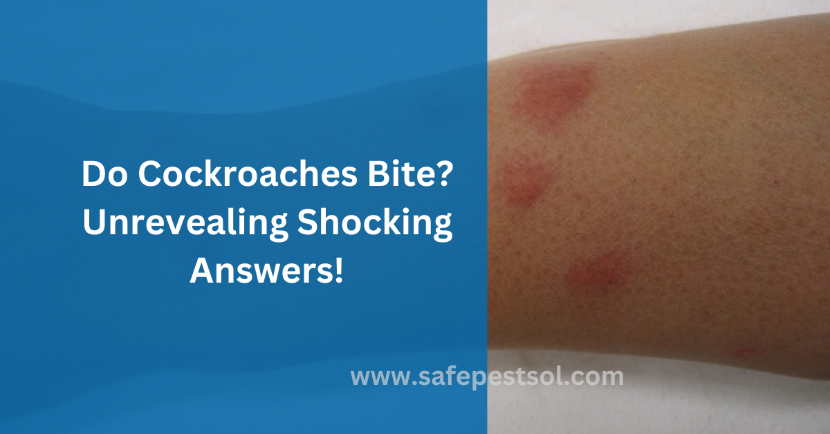 Do Cockroaches Bite Unrevealing Shocking Answers!