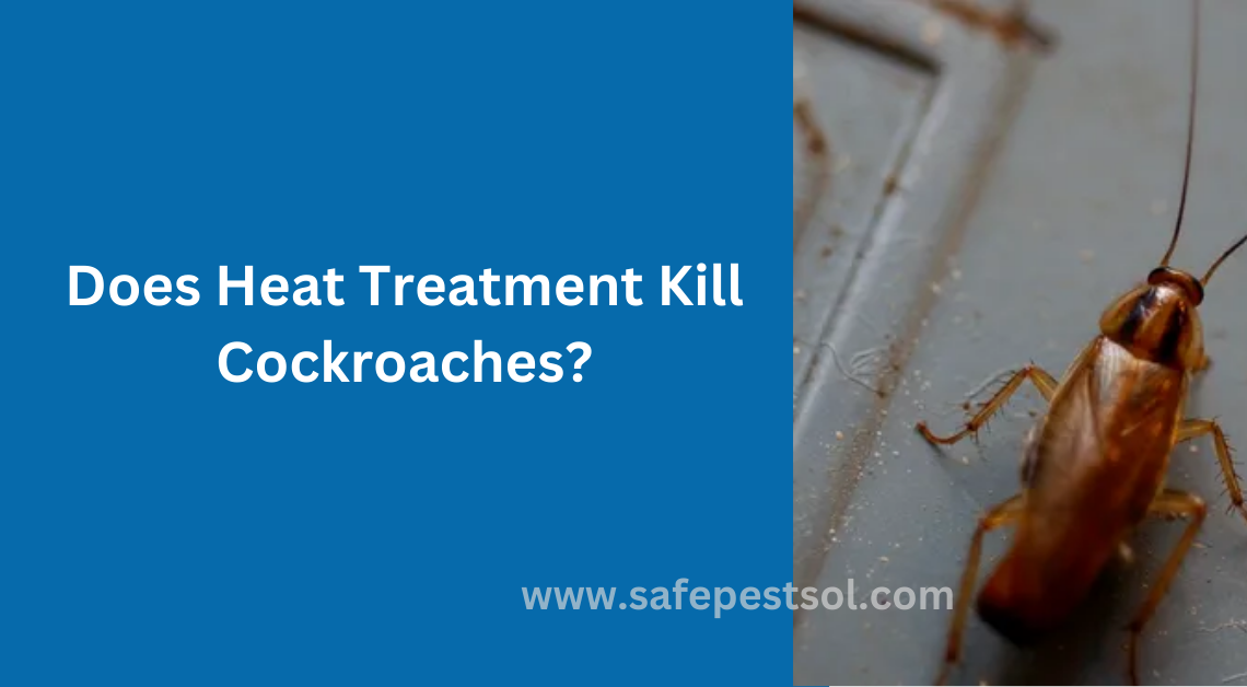 Does Heat Treatment Kill Cockroaches