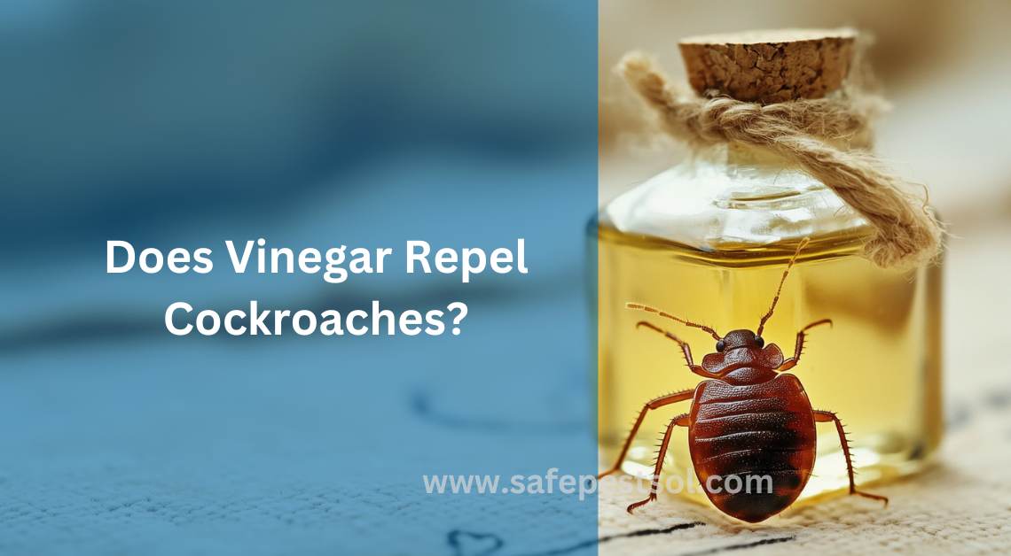 Does Vinegar Repel Cockroaches