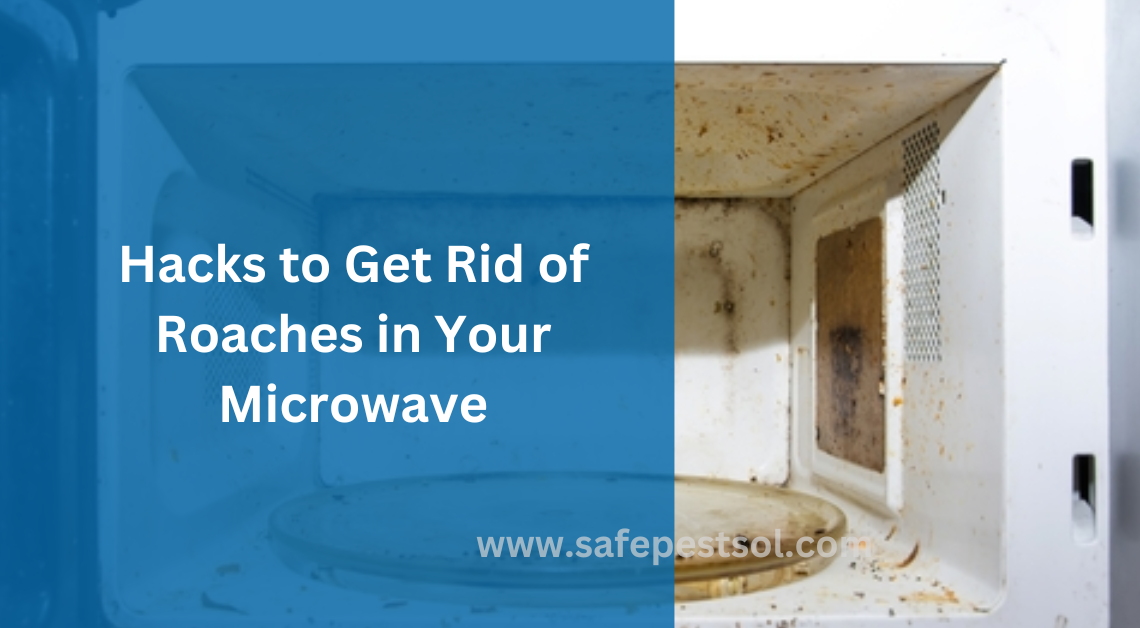 Hacks to Get Rid of Roaches in Your Microwave