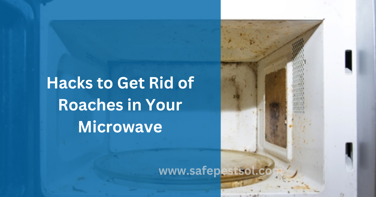 Hacks to Get Rid of Roaches in Your Microwave