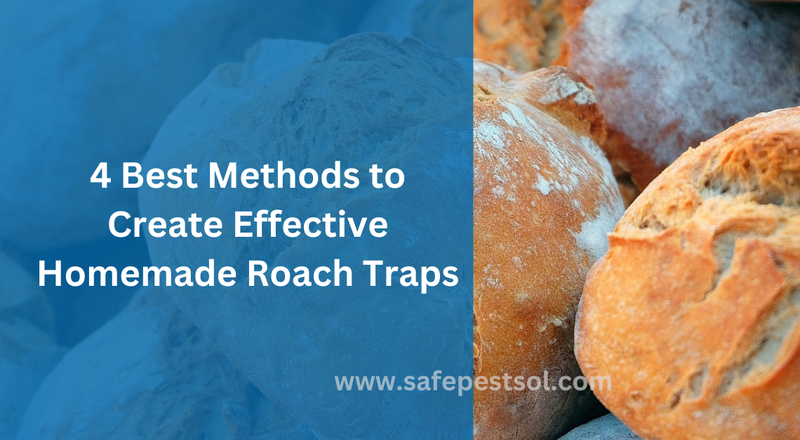 4 Best Methods to Create Effective Homemade Roach Traps