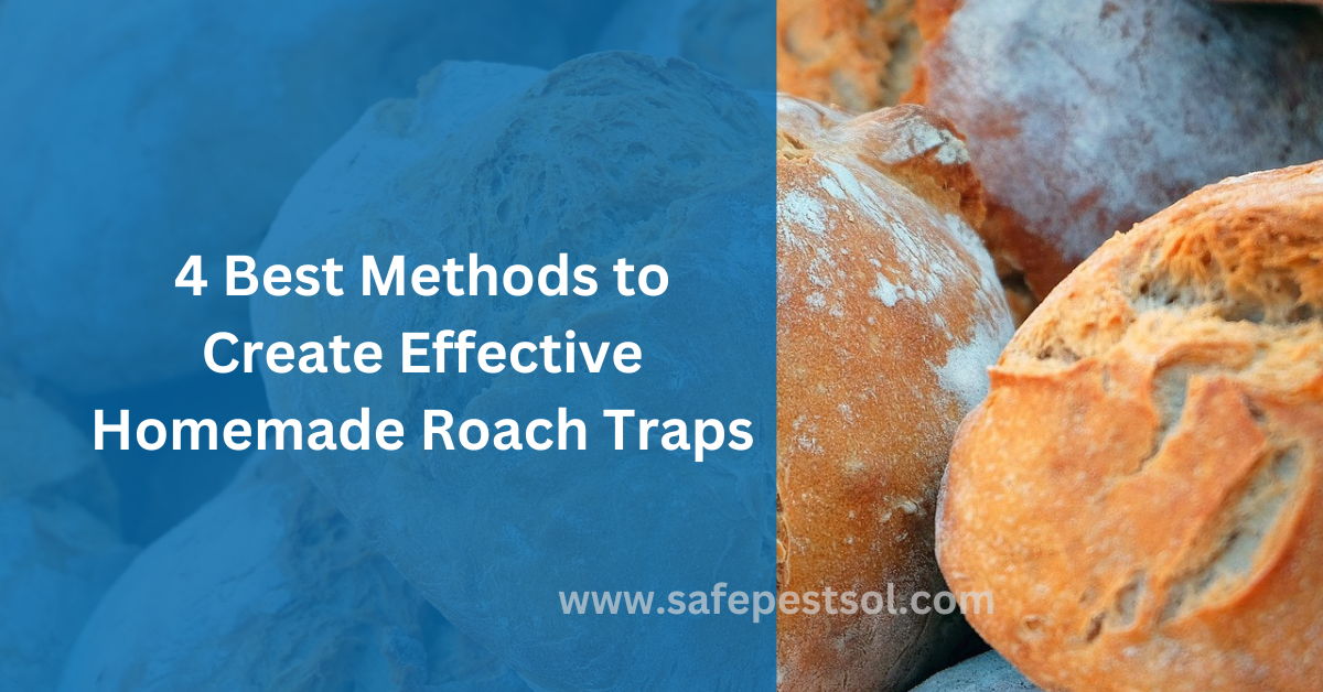 4 Best Methods to Create Effective Homemade Roach Traps