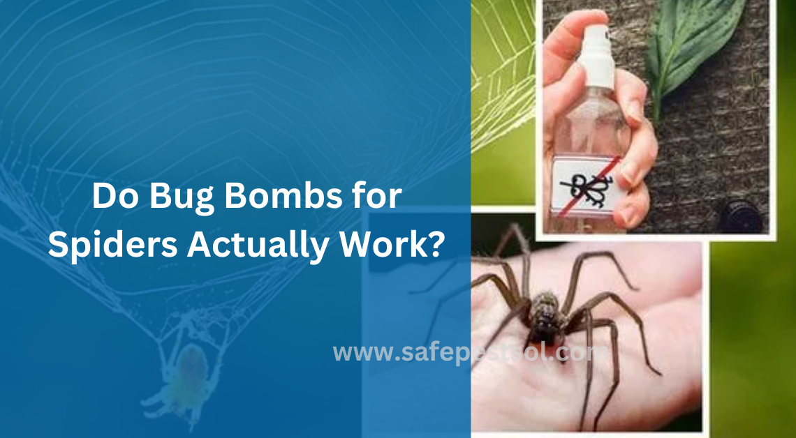 Do Bug Bombs for Spiders Actually Work