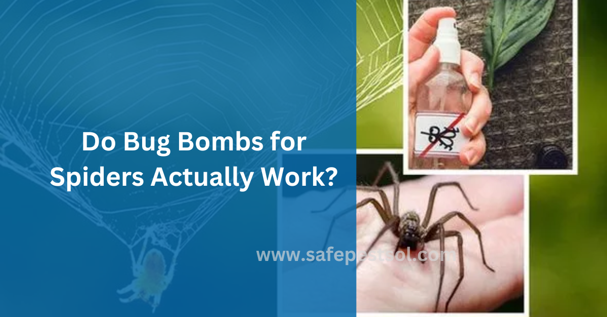 Do Bug Bombs for Spiders Actually Work