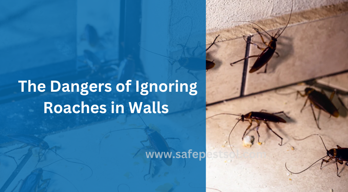 The Dangers of Ignoring Roaches in Walls