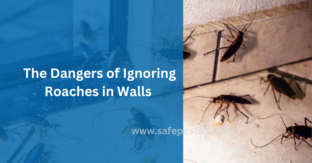 The Dangers of Ignoring Roaches in Walls