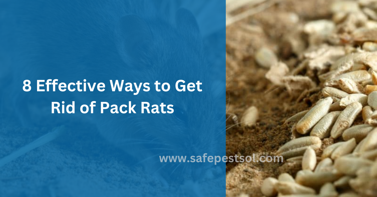 How to Remove Pack Rats