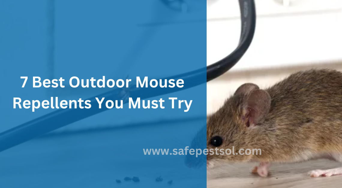 7 Best Outdoor Mouse Repellents You Must Try