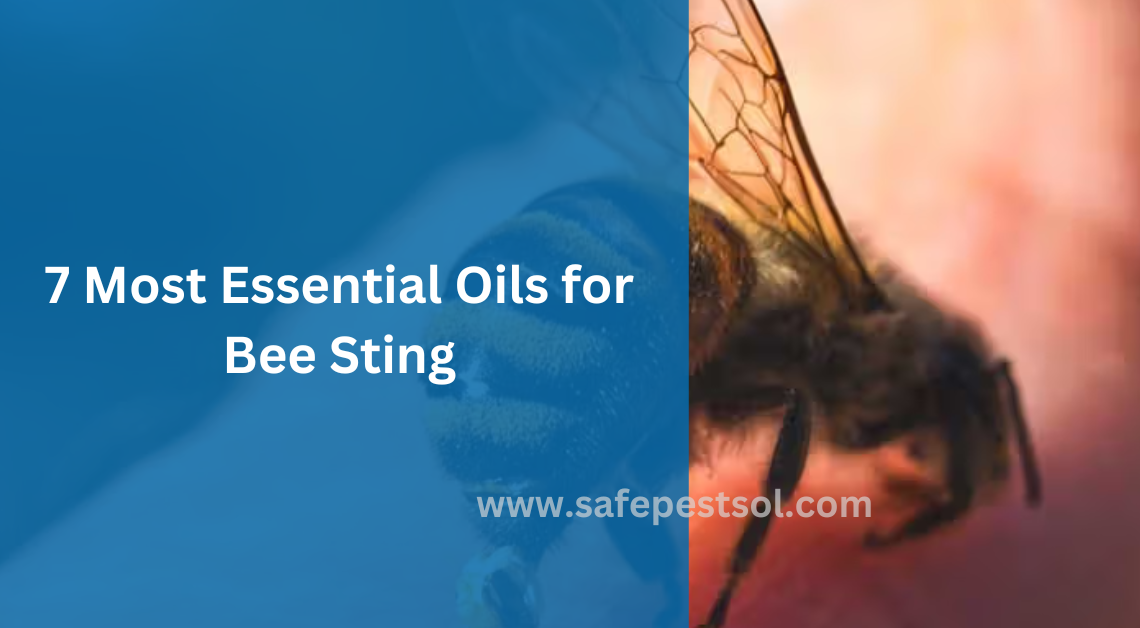 7 Most Essential Oils for Bee Sting