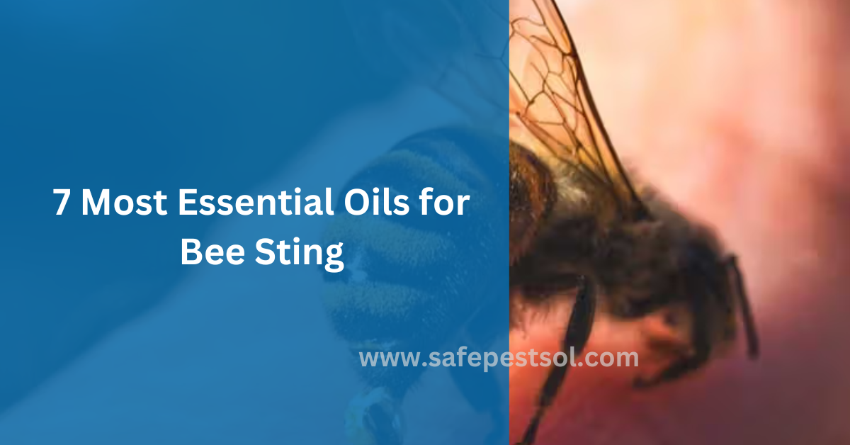 7 Most Essential Oils for Bee Sting