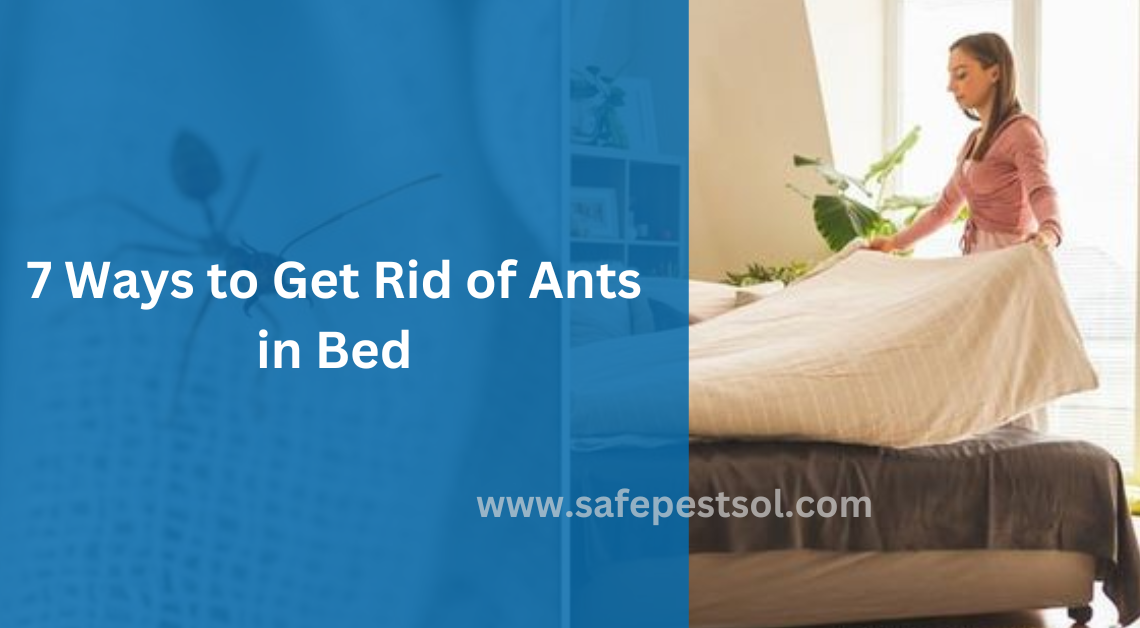 7 Ways to Get Rid of Ants in Bed