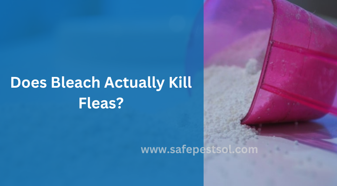 Does Bleach Actually Kill Fleas