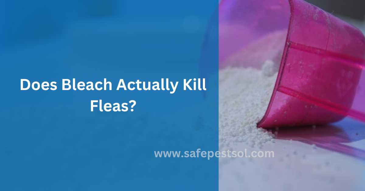 Does Bleach Actually Kill Fleas