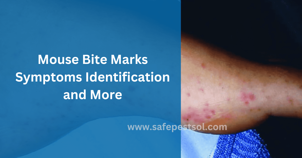 Mouse Bite Marks