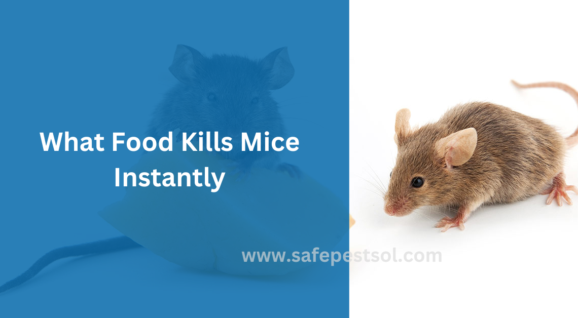 What Food Kills Mice Instantly