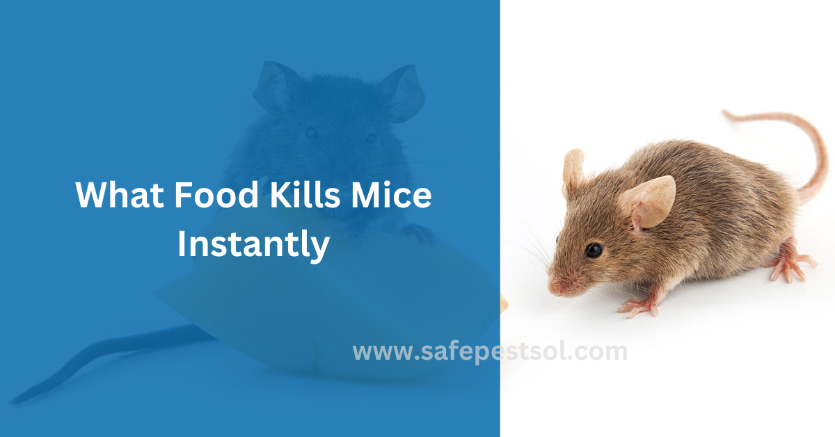 What Food Kills Mice Instantly