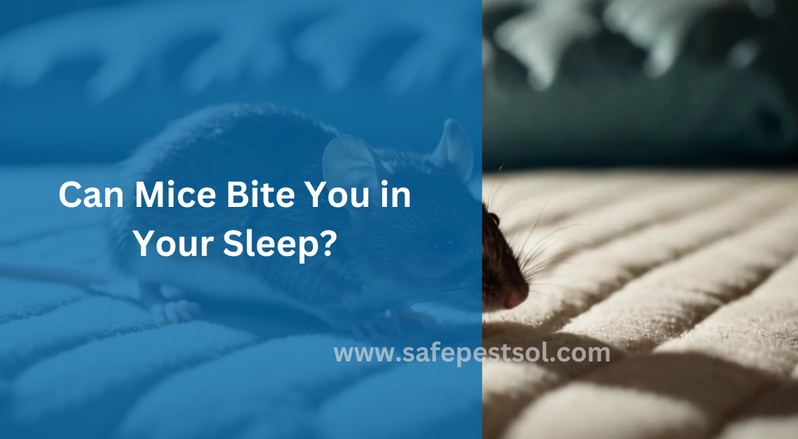 Can Mice Bite You in Your Sleep