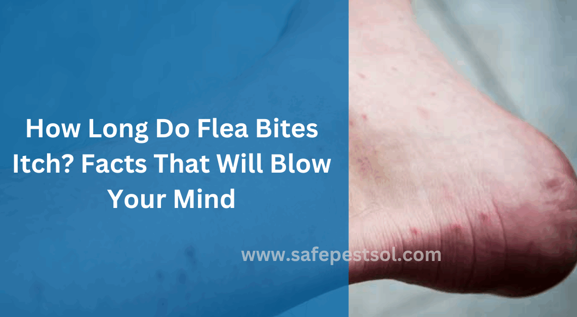 How Long Do Flea Bites Itch Facts