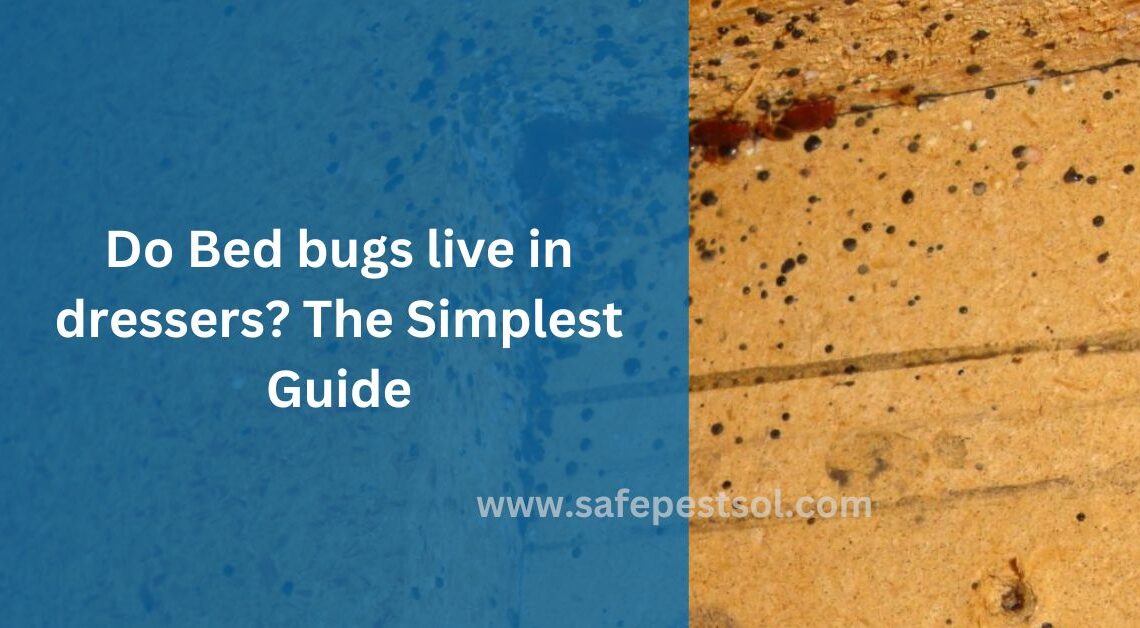 Do Bed bugs live in dressers The Simplest Guide